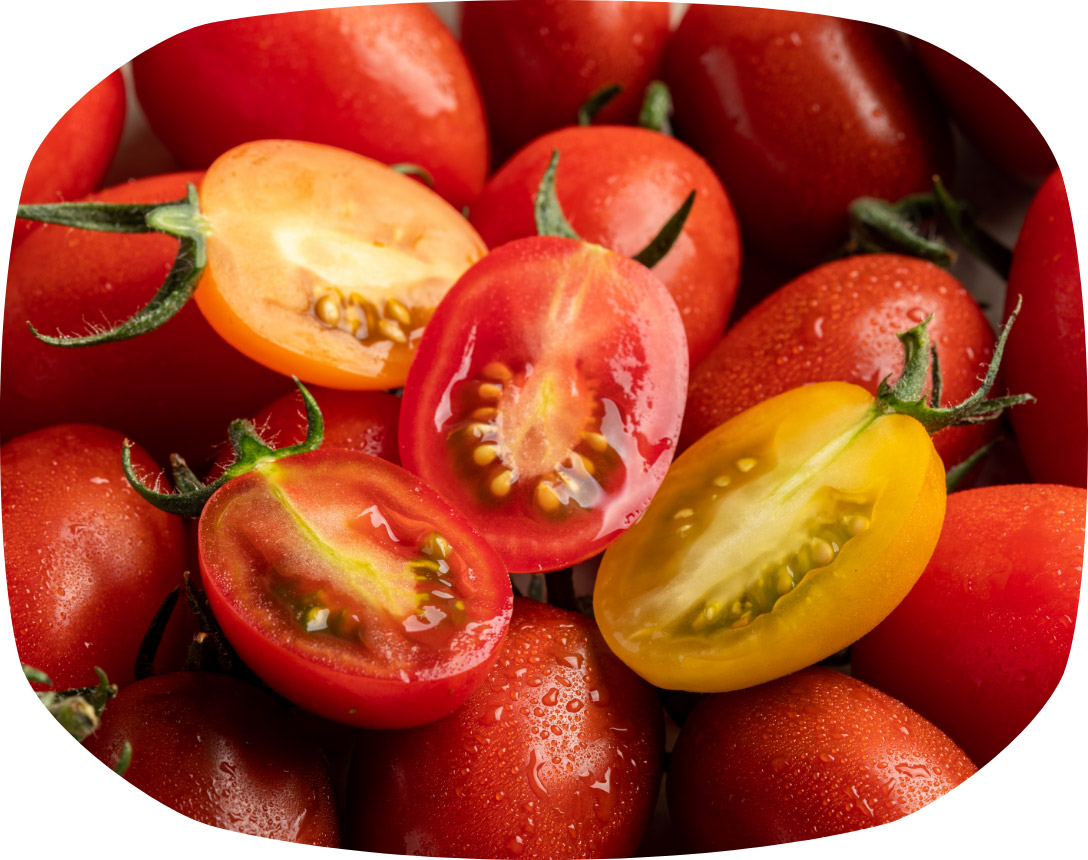 歩農園のミニトマトの特徴