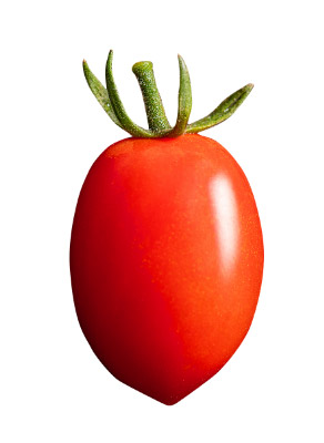 アイコ｜強い甘みの中にも、トマトらしい酸味が特徴。よりトマトらしい味わいが楽しめます。